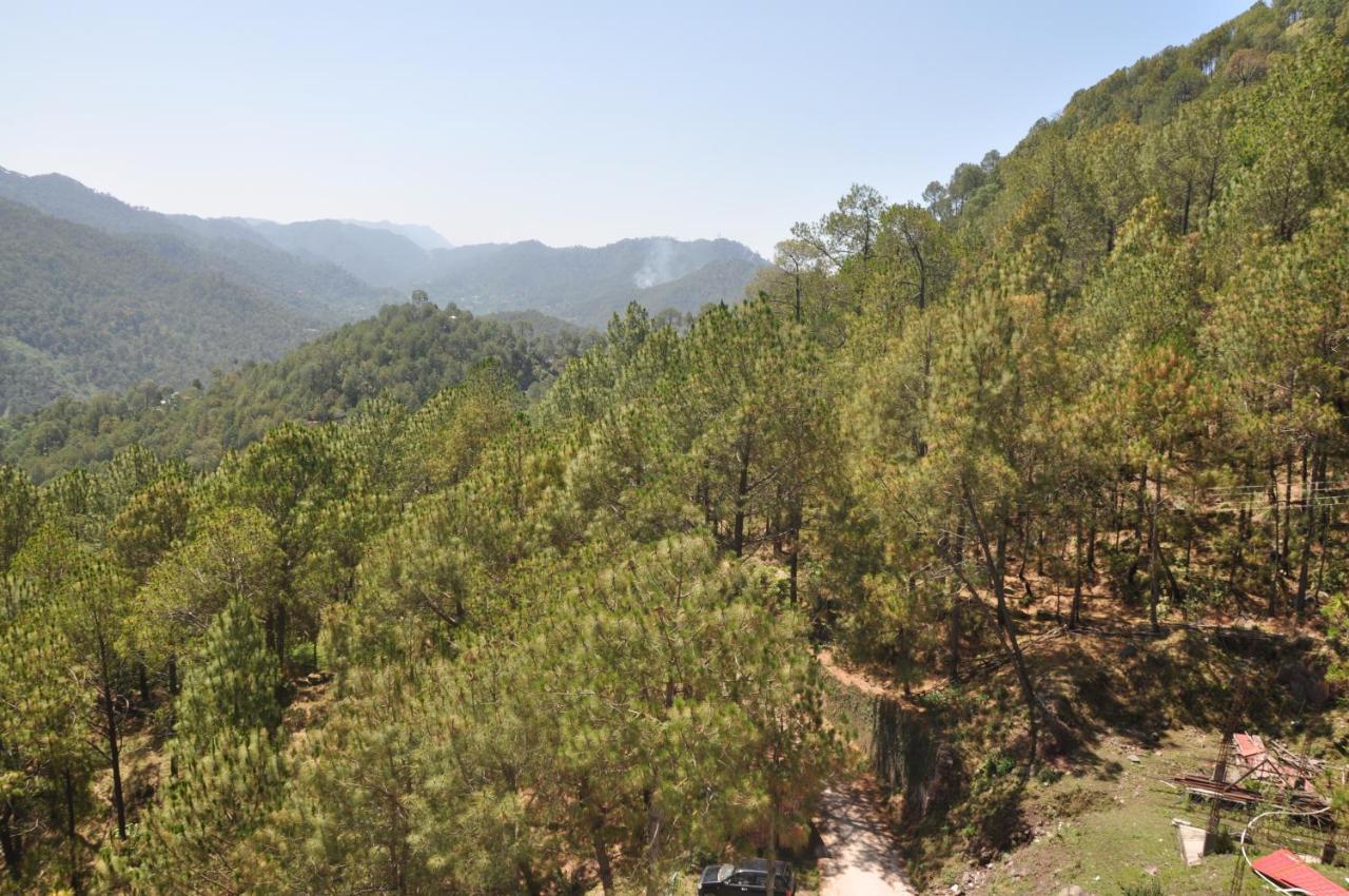 Pine Maderas By Embrace Apartment Kasauli Exterior photo